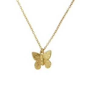 co806-collar-mariposa-plata-dorada-joyeria-acebo