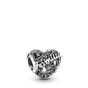 798571c00-charm-plata-family-pandora-joyeria-acebo