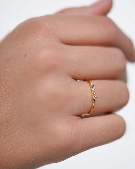 Screenshot 2021-09-09 at 11-08-06 AN01-193_4_640x jpg (Imagen WEBP, 640 × 800 píxeles) - Escalado (80 %)