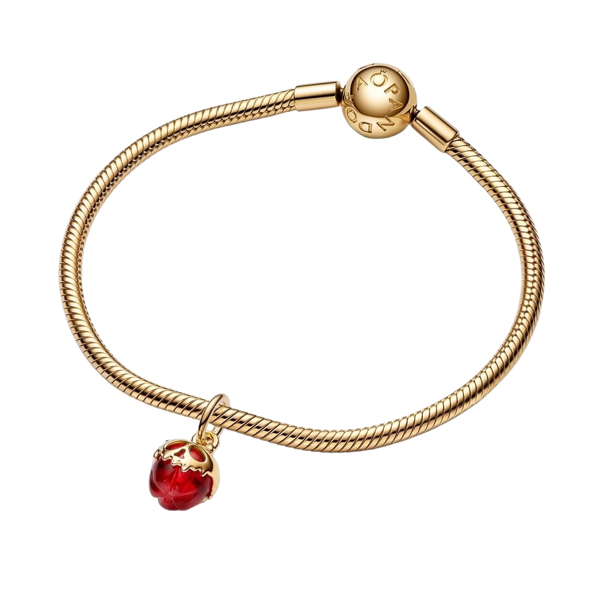 Photoroom_028_20240820_154543