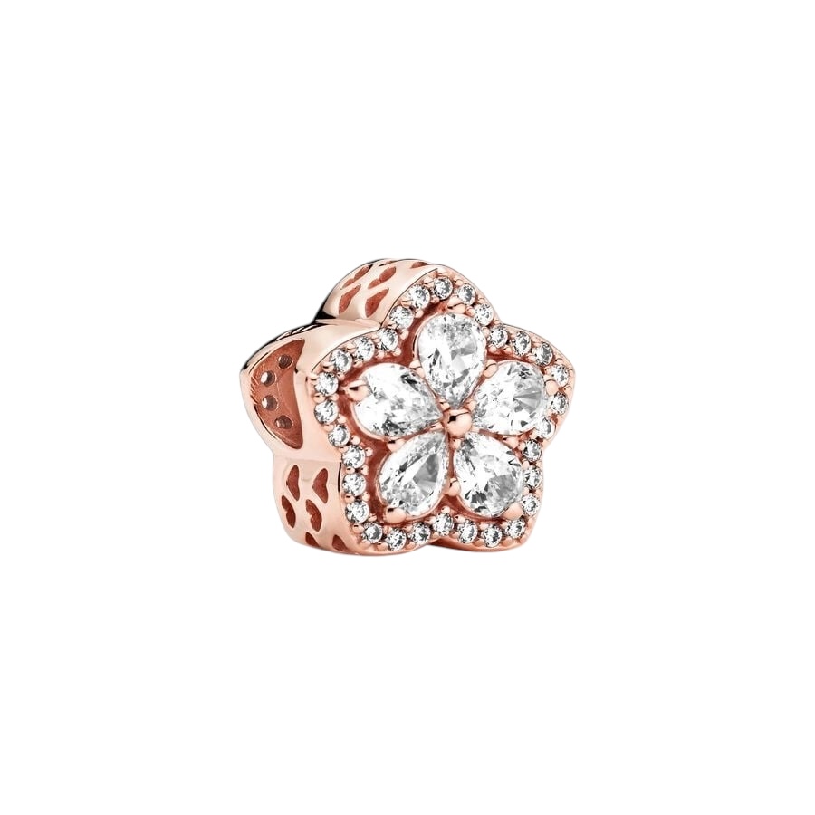 Photoroom_002_20240925_120657