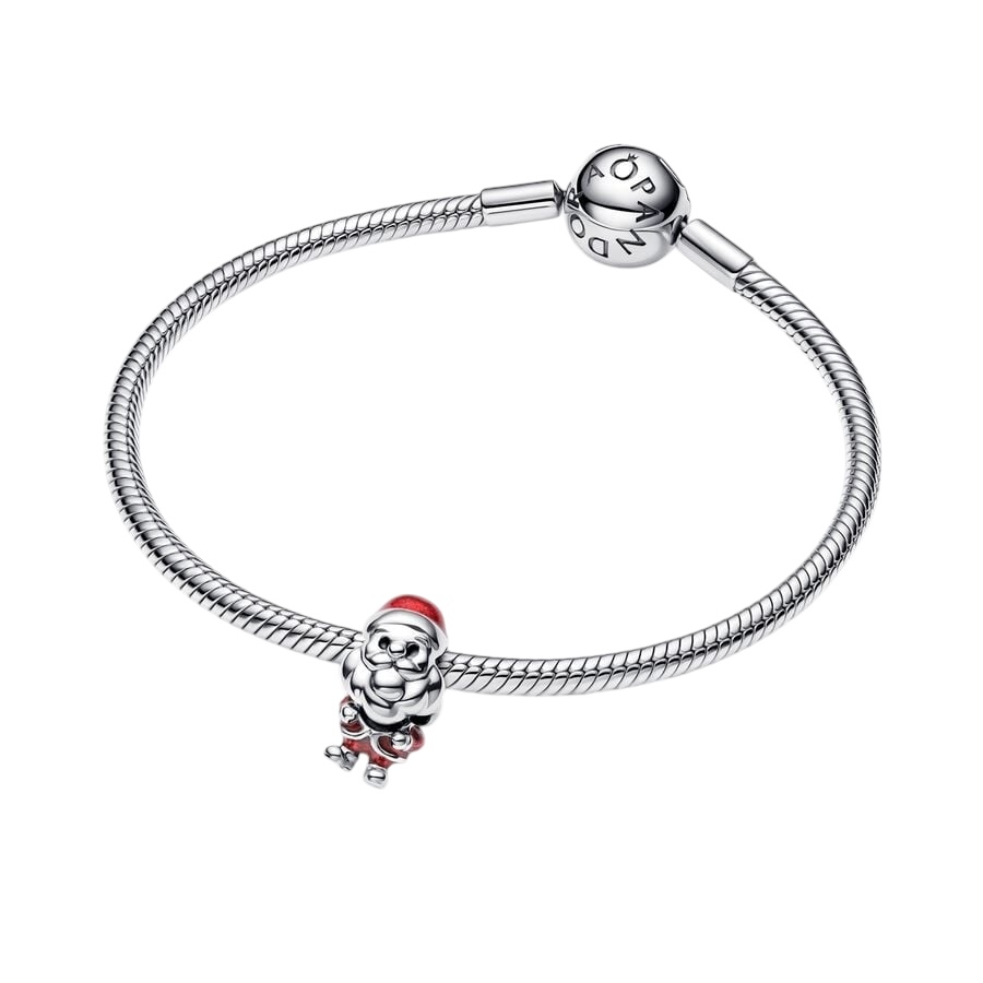 Photoroom_004_20241119_100519