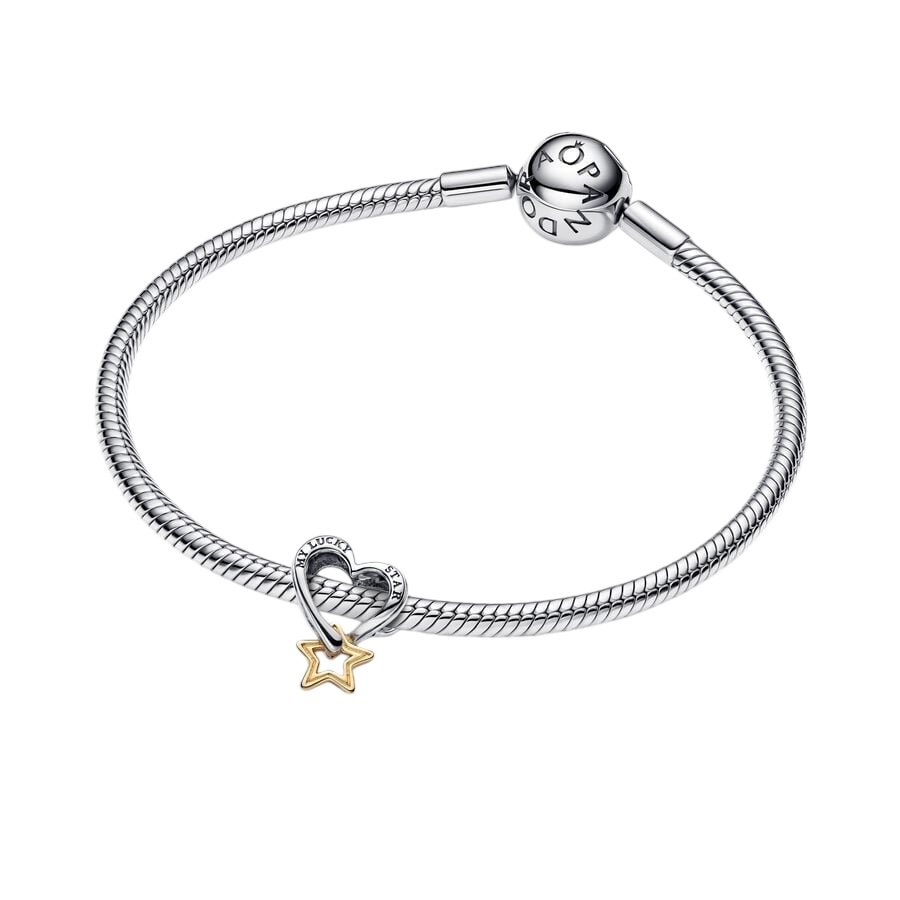 Photoroom_035_20241119_100519