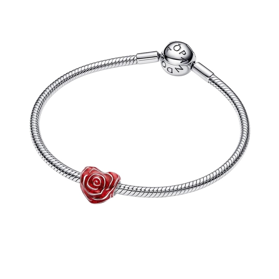 Photoroom_002_20250119_195115