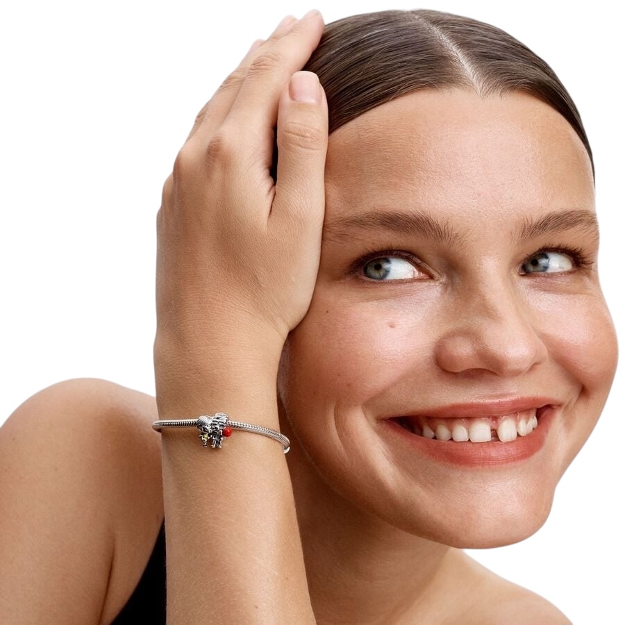 Photoroom_003_20250122_154748