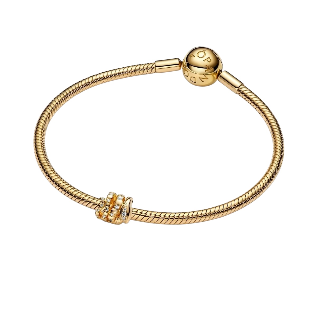 Photoroom_002_20250205_100512