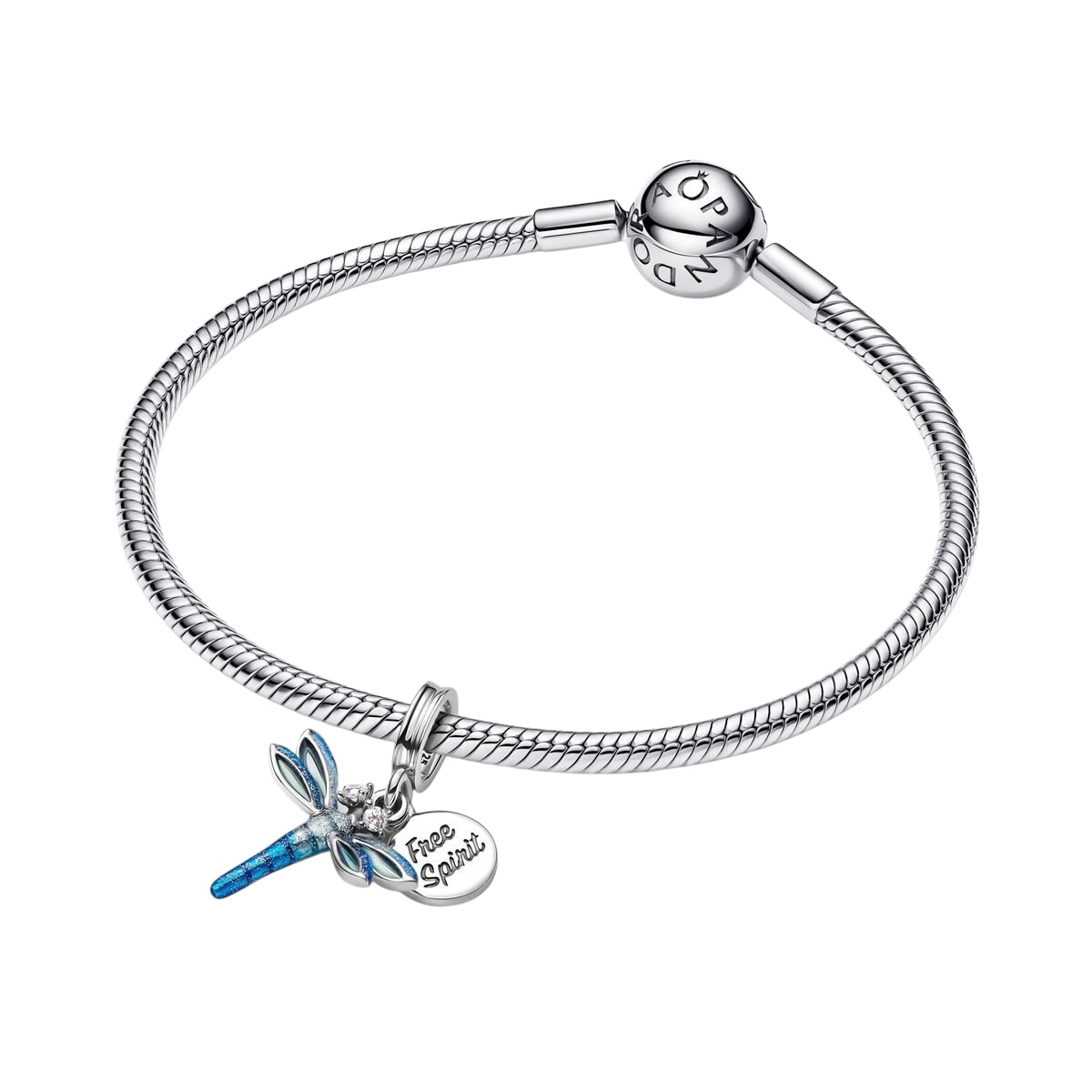 Photoroom_008_20250222_195935