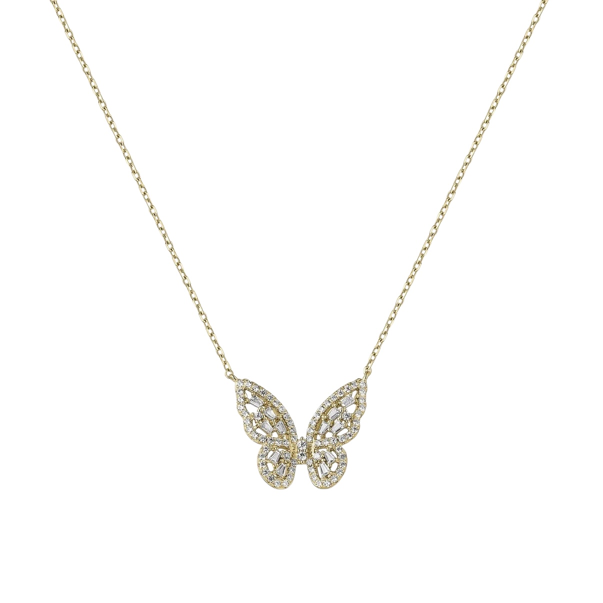 Photoroom_001_20251016_193639